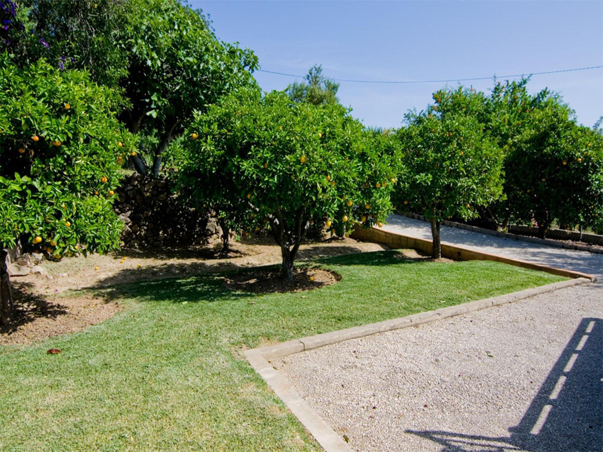 Villa Oliandra Vilamoura Eksteriør bilde